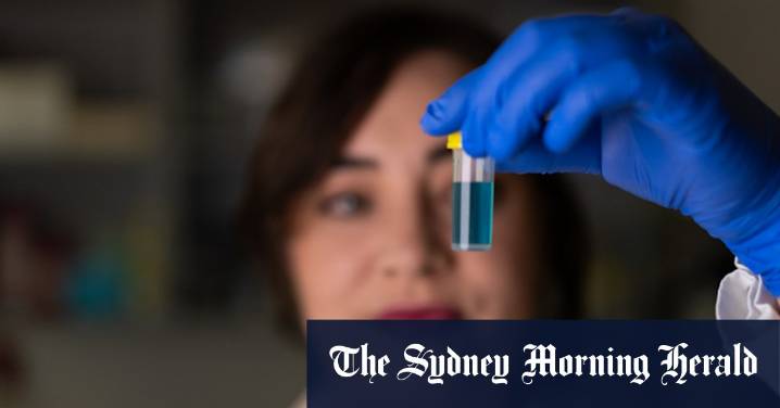 PFAS exposure: Australian study finds forever chemicals disrupt hormones and sperm counts in mice