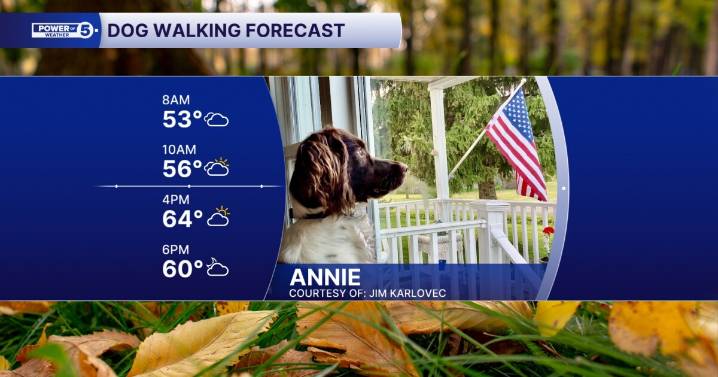 The furcast is not too spooky for the pooch parade!