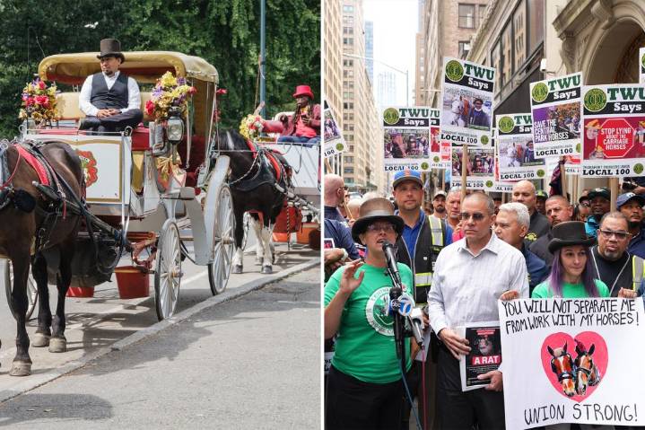 Central Park visitors support horse carriage rides, oppose NYC's ban: poll