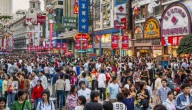 La Alternativa China