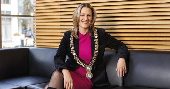 Halton politicians push against political harassment
