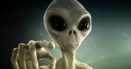 Humans 'may be part alien' after having ET genes inserted during abductions