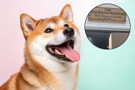 Help Capital Region Pets!