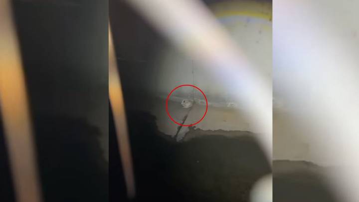 California Rescuers Peer Into A Canal And Freeze When They Realize What’s Staring Back