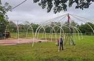 Se extendió la venta de anticipadas para la Fiesta de Las Raíces