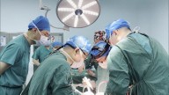 Avance científico. Trasplantan por primera vez a una persona viva un hígado de cerdo modificado genéticamente