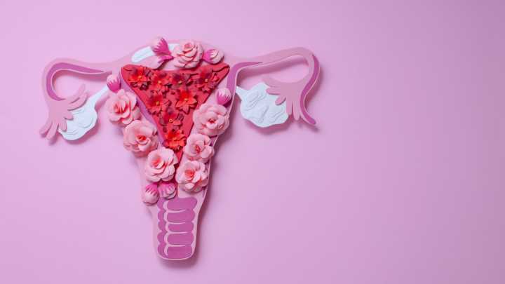 Autocuidado femenino: cómo adaptar tu rutina a cada fase del ciclo
