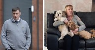 Company director took cocaine before he killed woman in horror three