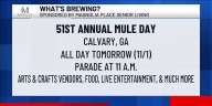 What’s Brewing - 51st Annual Mule Day
