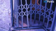 Detenido un hombre que acababa de okupar una planta baja en el centro de Palma