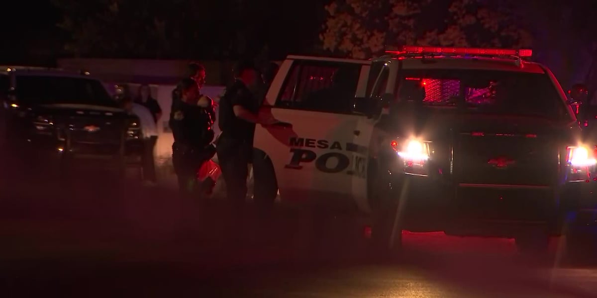 1 arrested after person stabbed at Mesa house party