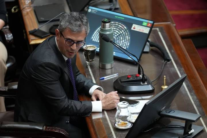 Con una semana de demora. Martín Menem envió la reforma de los DNU al Senado