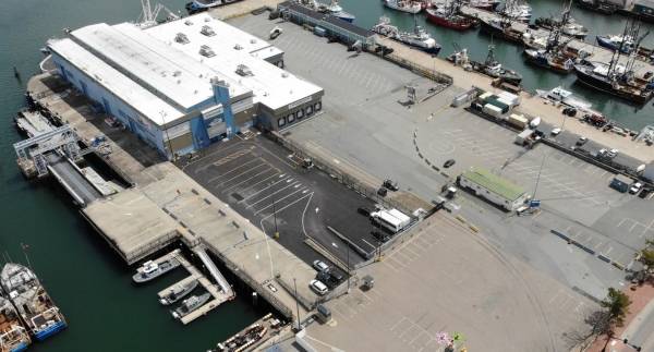 State Pier faces urgent structural Repairs, prompting business relocations in New Bedford