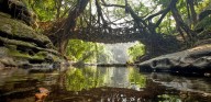 Tourists willing to pay Rs 154 to preserve Meghalaya’s Living