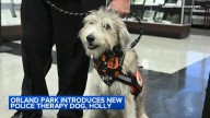 Orland Park introduces new police therapy dog, Holly, trained through Cook County Sheriff's Office Tails of Redemption Program