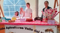 Sotrondio endulza el otoño con la mejor miel del valle del Nalón: "La miel que se pone a la venta es de excelente calidad"