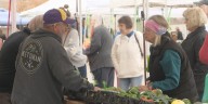Farmers market wraps up 16th season at Tyson Event Center