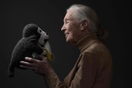 La muerte de la conservacionista. La última aventura de Jane Goodall
