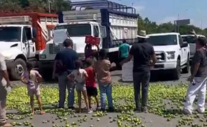 "Lo quieren regalado, ahí está": productores de limón de Apatzingán, tiran kilos de esta fruta en protesta por bajos precios
