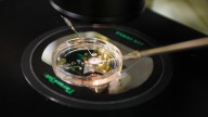Nueva era en fertilidad: embriones humanos de células de piel
