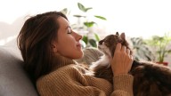 ¿Tu gato te sigue a todos lados? La ciencia reveló cómo estas mascotas eligen a su persona favorita