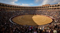 El PSOE frenará a Urtasun en su cruzada contra los toros