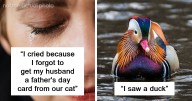 “I Saw A Duck”: 29 Hilariously Trivial Reasons That Made Pregnant Women Bawl