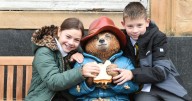Paddington Bear extends his stay in Lanark