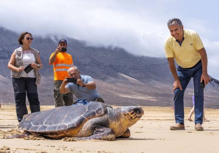 La 2ª Jornada de Medio Ambiente de Fuerteventura analiza la relación entre cambio climático y océanos