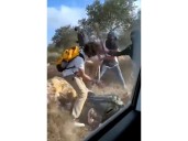 Israeli settlers beat Palestinian farmers amid olive harvest