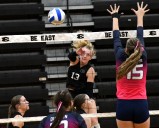 Freshman Lexi Coleman’s 30 kills leads South Lyon East to sweep of South Lyon