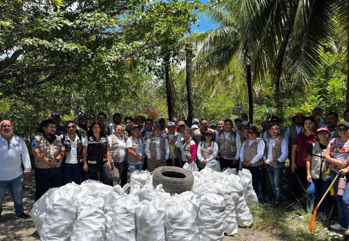 Suman más de 200 comités vecinales de protección ambiental en Q. Roo
