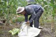 Productores de maíz advierten con escalar protestas si el gobierno no atiende la crisis del campo