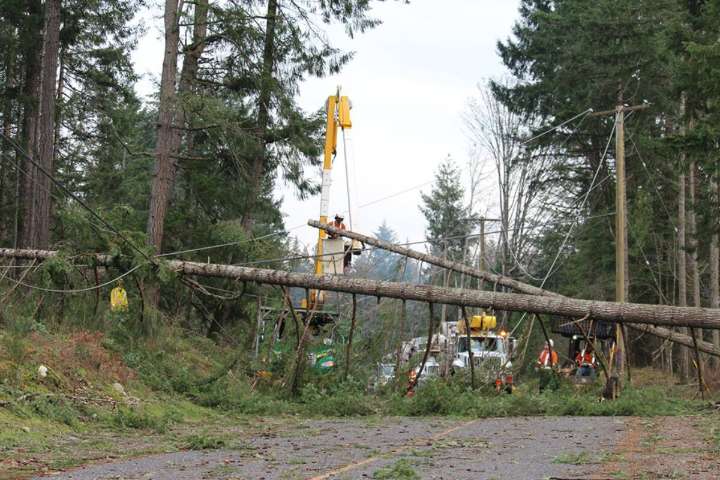 Gen Z ill-prepared for power outages: BC Hydro