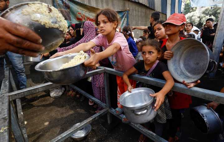 What doctors, aid workers say is needed to treat the malnutrition crisis in Gaza