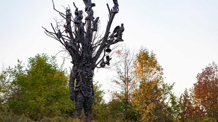 Cranbrook alum Nick Cave debuts first public outdoor sculpture