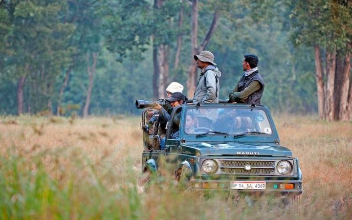 2 Men Arrested in Delhi for Pan-India Jungle Safari Permit Racket