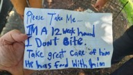 North Carolina Puppy Found In Cage With Note Leaves Officers And Locals Outraged