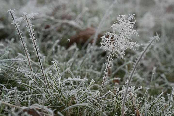 Mass. weather: Freeze warning in place as temperatures set to plummet overnight Thursday
