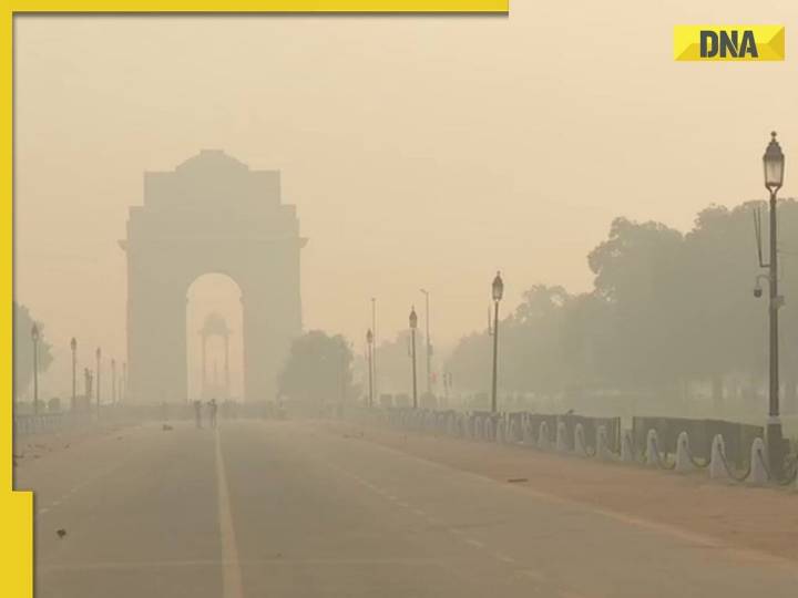 Delhi Air Pollution Crisis: 75% households have at least one...