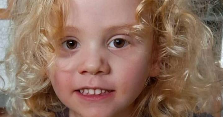 Gus Lamont: Search for missing Gus Lamont, 4, to resume again in remote South Australia