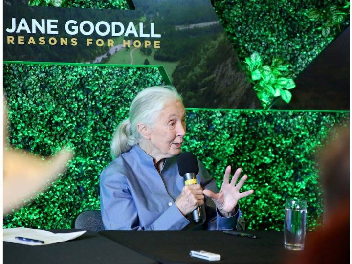 Jane Goodall, celebrated primatologist, had strong Sudbury connections