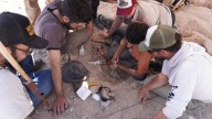 Video. El momento en el que los científicos del Conicet encontraron un huevo de dinosaurio excepcional