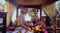 Best new movies out in 2025: from Together to Don’t Let’s Go to the Dogs Tonight