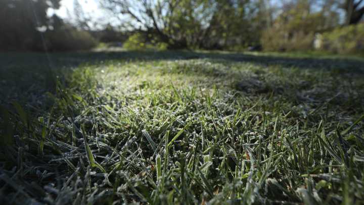 When is first frost season in Monroe County?