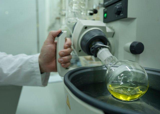 CICYTEX organiza una jornada para mostrar al sector oleícola herramientas digitales aplicadas