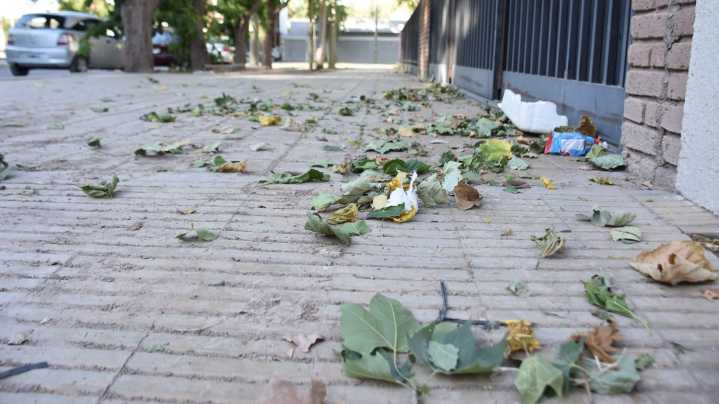 Emitieron alerta amarilla por viento Zonda y después un fuerte sur
