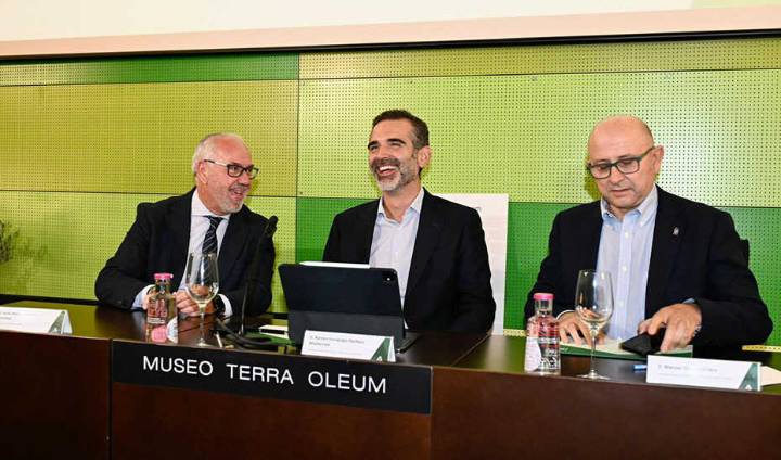 Jaén lidera de nuevo el aforo del olivar con casi la mitad del aceite andaluz pese a la bajada prevista en la campaña 2025/26