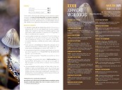 Navaleno rendirá homenaje a su primer presidente micológico en sus jornadas de otoño