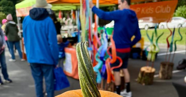 Saturday marks the end of the regular Shoreline farmers market season and our annual Harvest Market